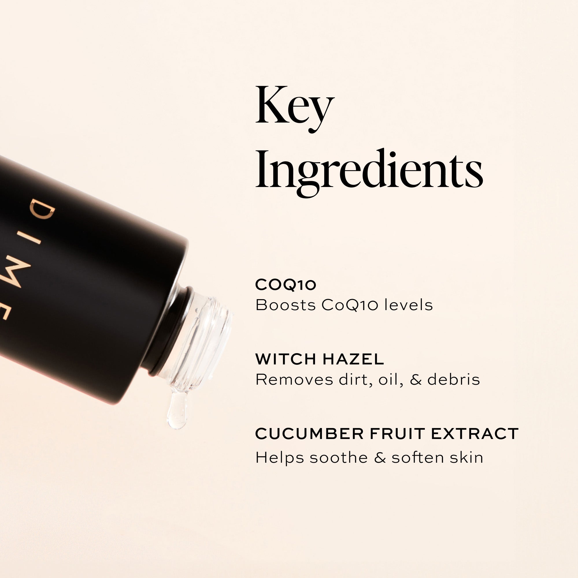 Key Ingredients