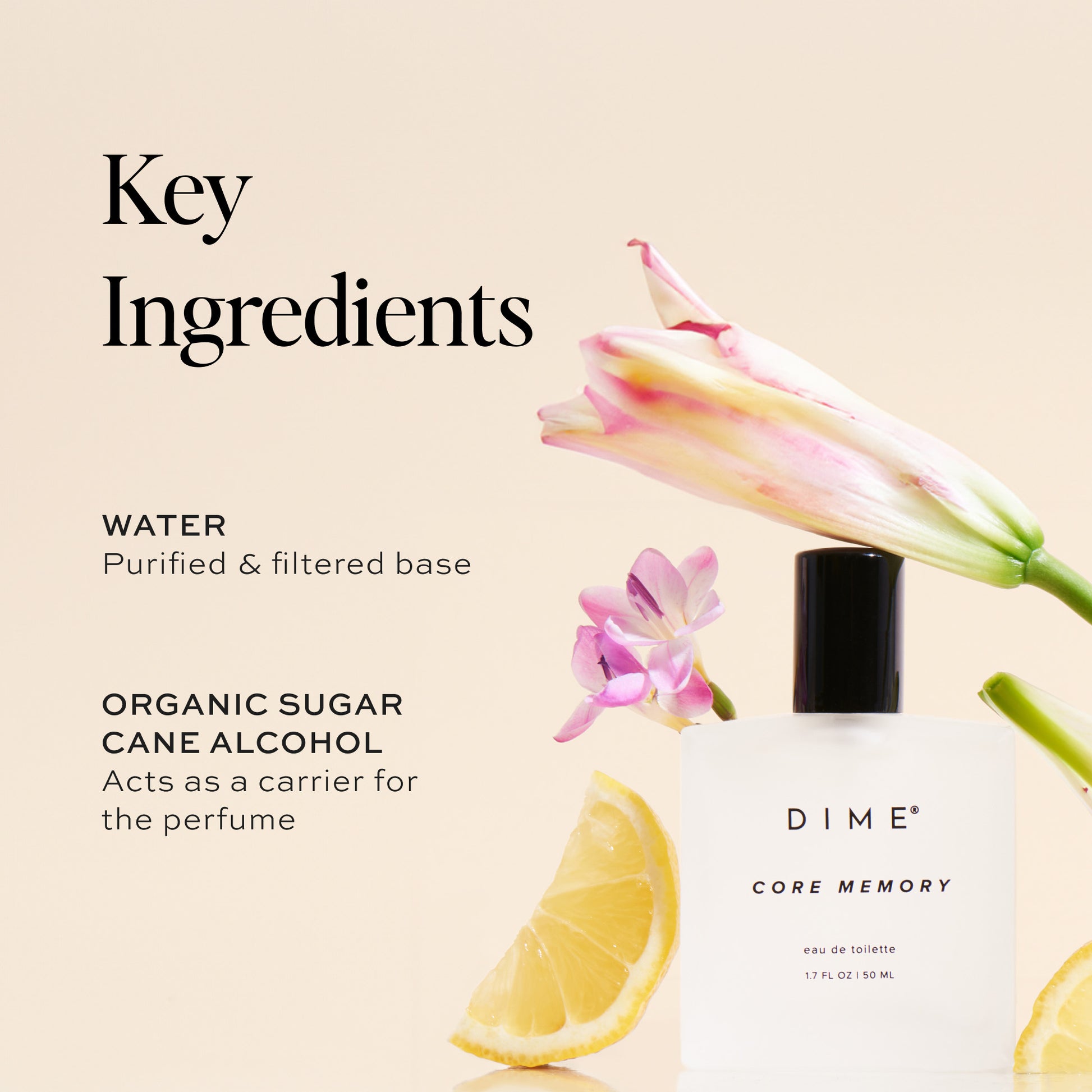 Key Ingredients