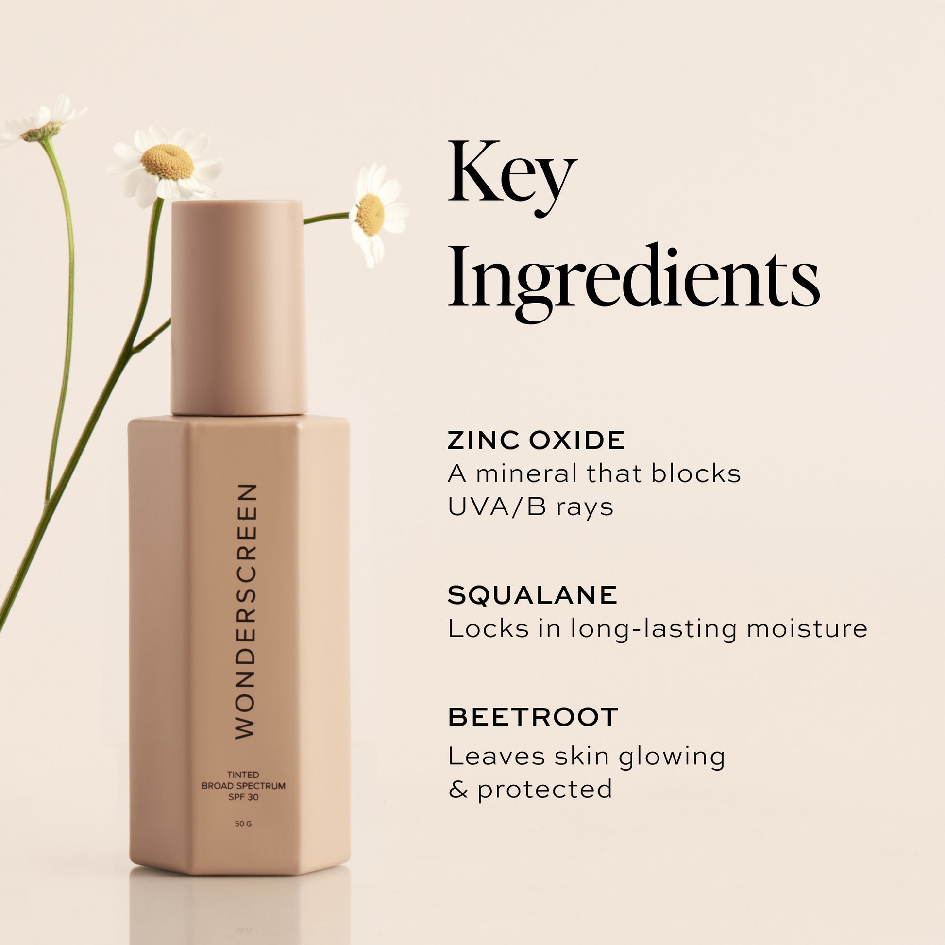Key Ingredients